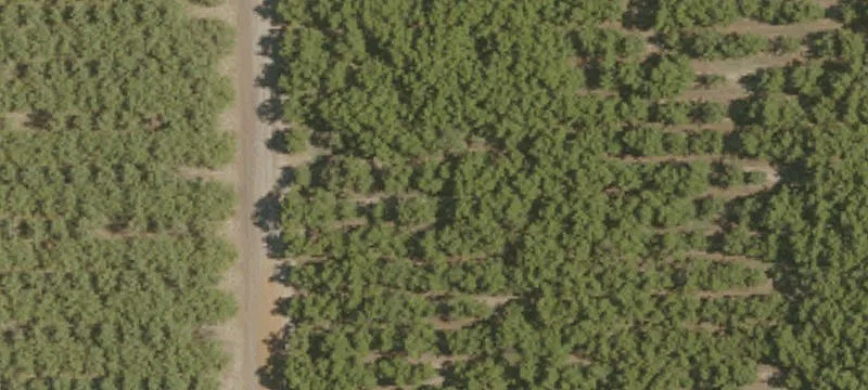 Commercial Land in Mixed Use District