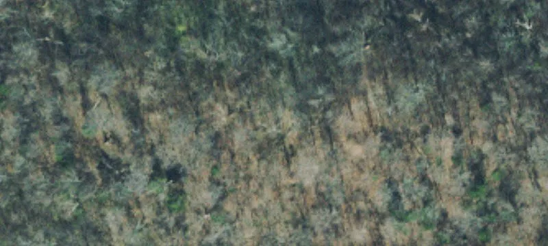 Land with Development Potential