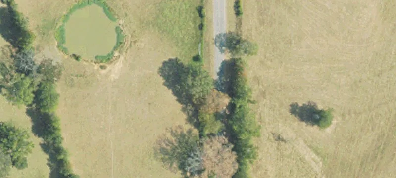 67 Acres of Timberland