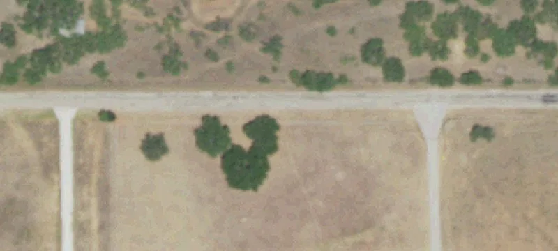 19 Acres of Virgin Land