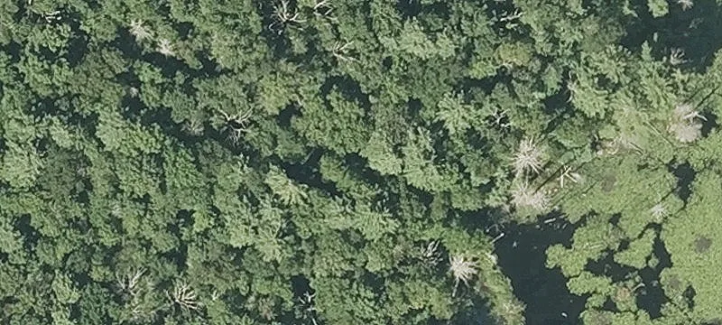 8.96 Acres Land For Rent