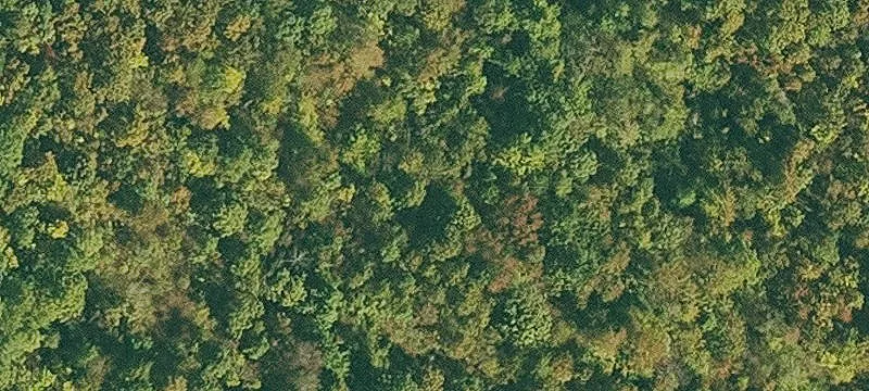 Secluded Ozark Acreage with Varied Terrain