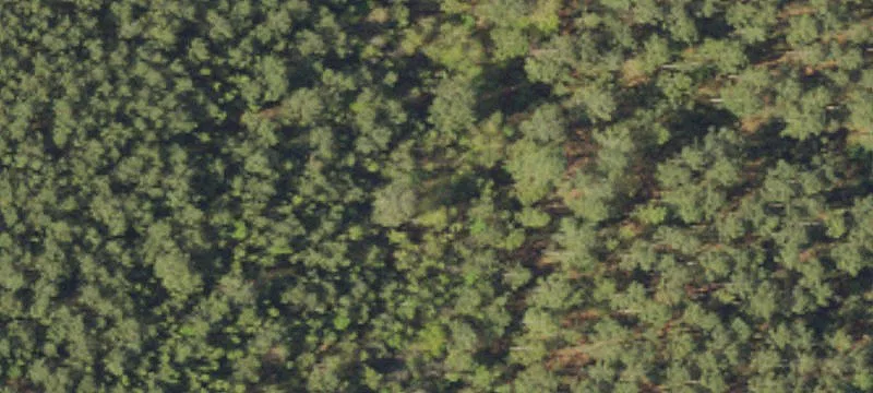 125 Acres Prime Location Land