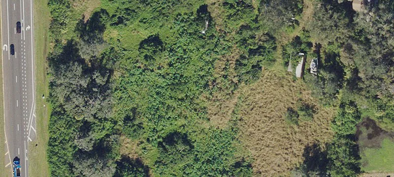 Palmetto Development Opportunity