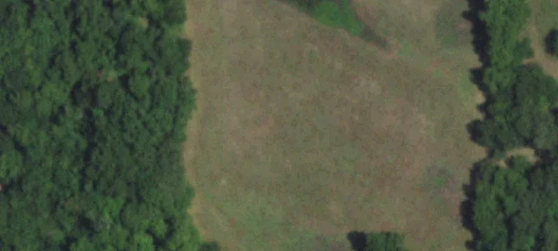 80 Acres in Sherman, TX