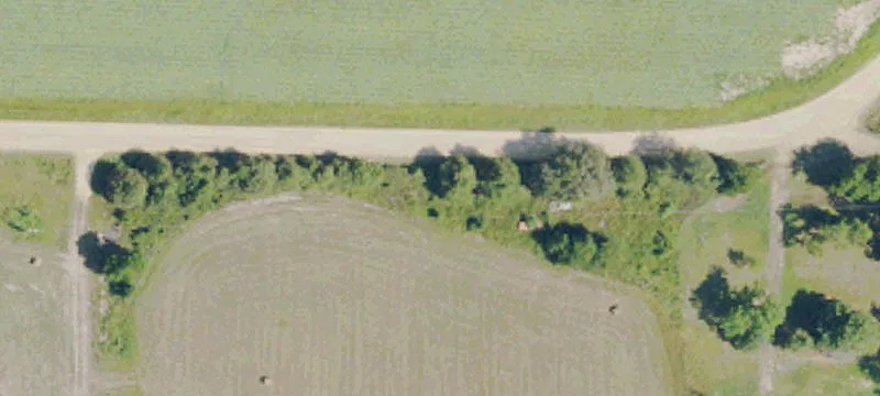 Tallahatchie County Hunting Paradise