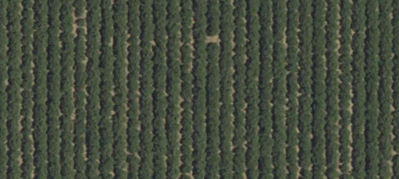 1503.81 Acres Farmland and Orchard
