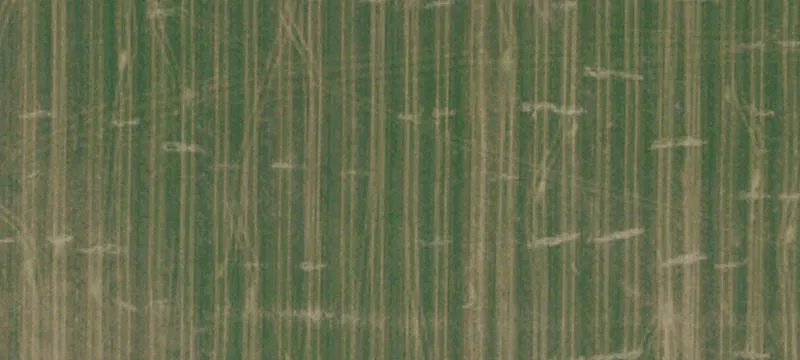 239 Acres Row Crop Land