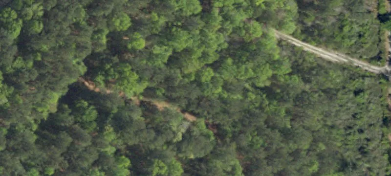 Loris, South Carolina Land Parcel