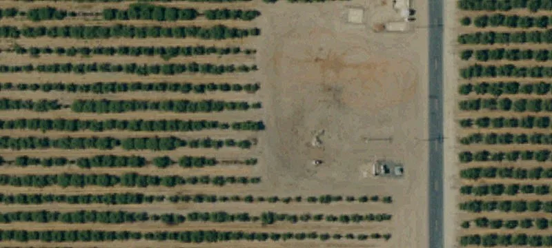 272 Acres Almond Orchard in Pixley