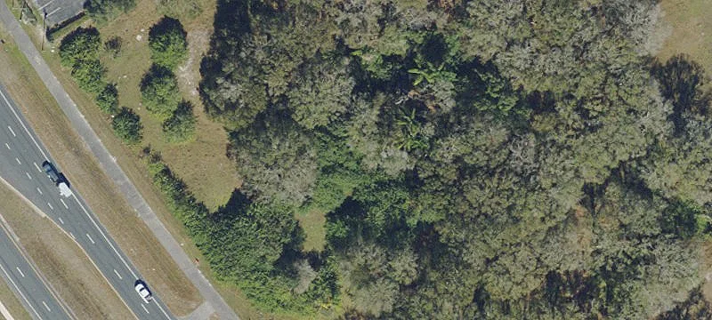 Land O'Lakes Commercial Parcels