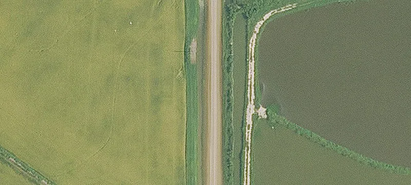 146 Acres of Hunting Land