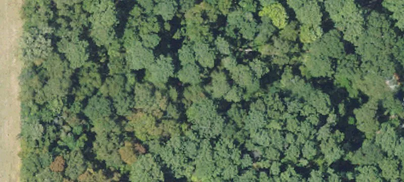 9 Acres Wooded Land Homesites
