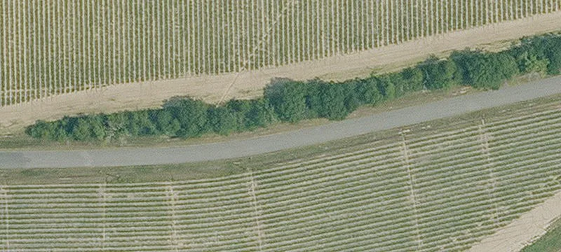39.292 Acres Corner Agricultural Land