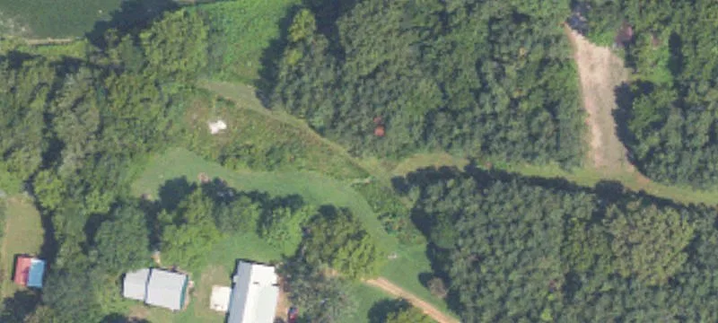 280 Acres Hunting and Timber
