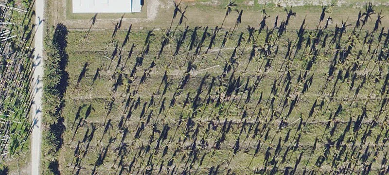 Residential Development Land on Pine