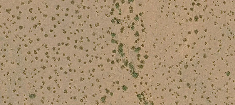 Marana Land for Lease