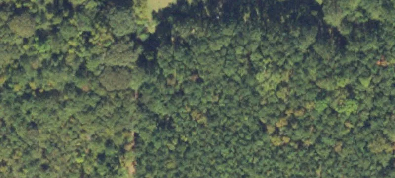 Land Available For Lease