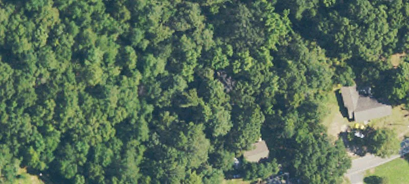 Undeveloped Land Near Highway 49