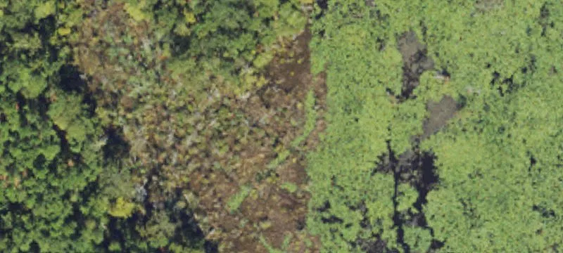 34.45 Acres on Highway 17