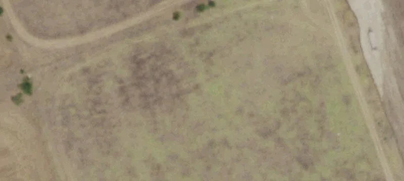 36.51 Acres on CR 305