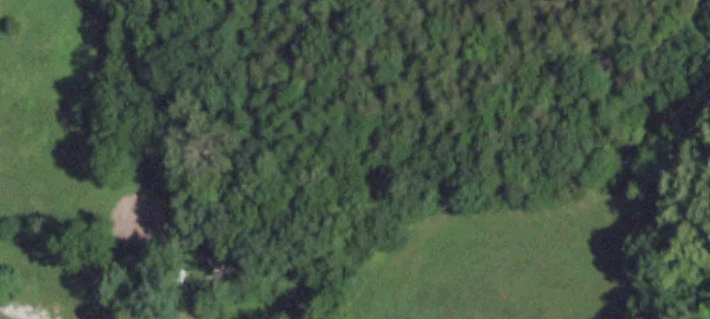169+ Acres with Improvements