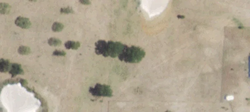 175 Acre Texas Ranch