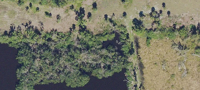 Land Parcel on State Road 80