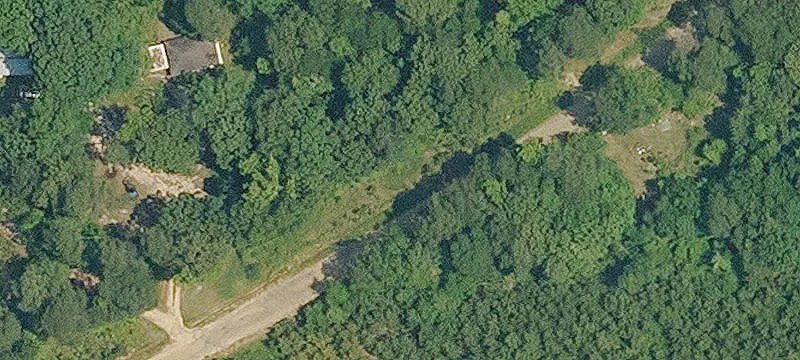 16 Acres of Pine Timber