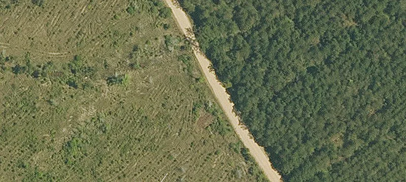 1335 Acres Hunting Land For Sale