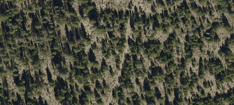 Land for Sale in Chemult