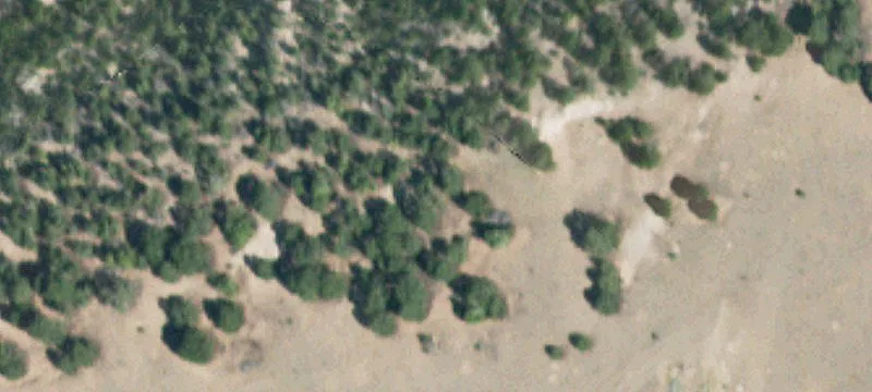 Southern Colorado Land with BLM