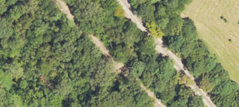 95 Acres Hunting Land Opportunity