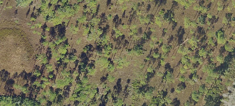 Development Site For Sale