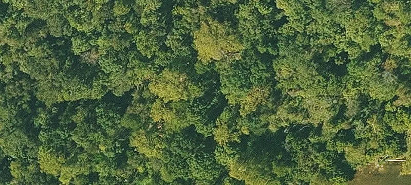 Arkansas Land with Highway Frontage