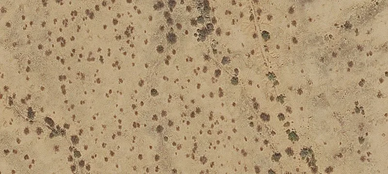 Historic Ghost Town and Mining Camp