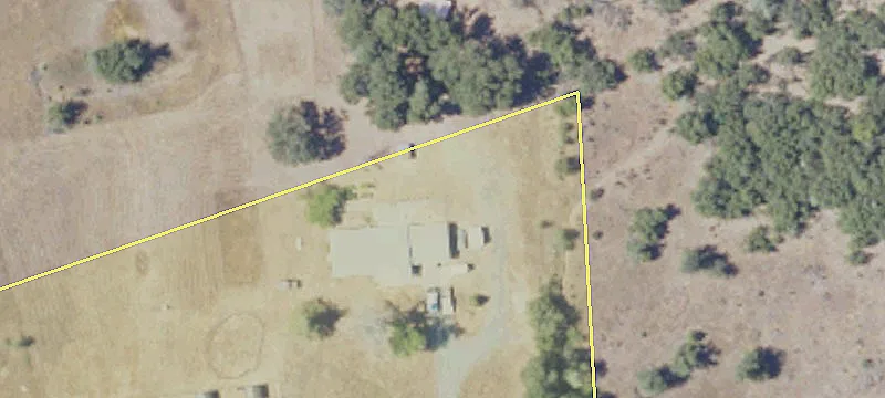 481 Acres Near Collins Lake