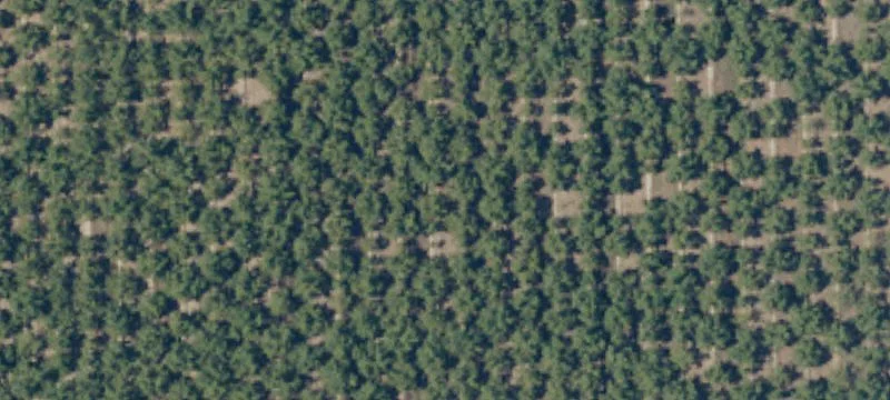 Highway 99 Visible Land Parcels