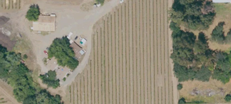 Suisun Valley Vineyard Land