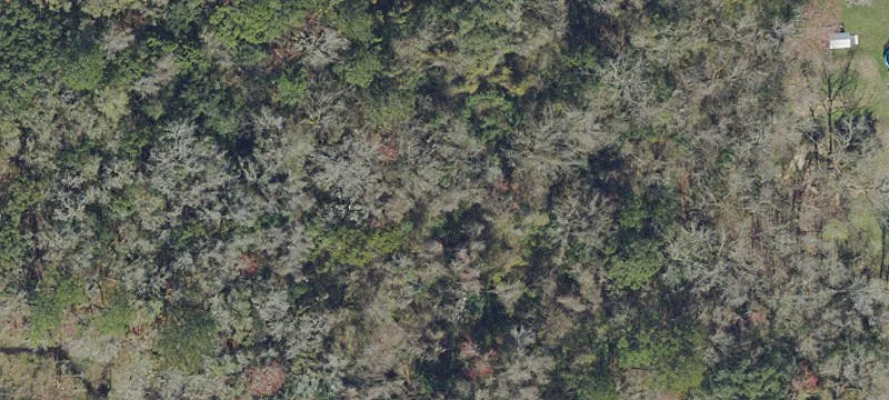 Dunn Avenue Uplands Land Parcel