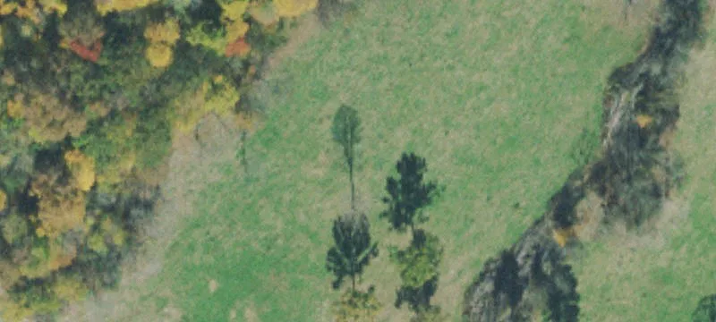 Undeveloped Wooded Land For Sale