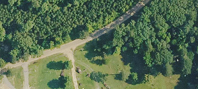 73 Acres Pine Plantation Land