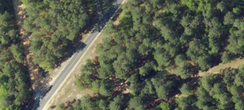 5+ Acre Wooded Equestrian Lot