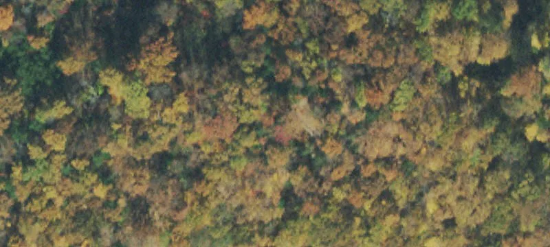 Unrestricted Land Near Dale Hollow