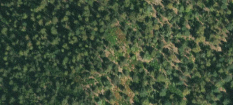 Scenic Colorado Land Parcel