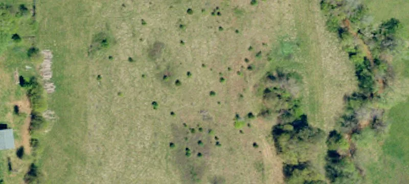 Land with Creek Frontage