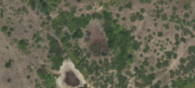 Green's Creek Acreage Property