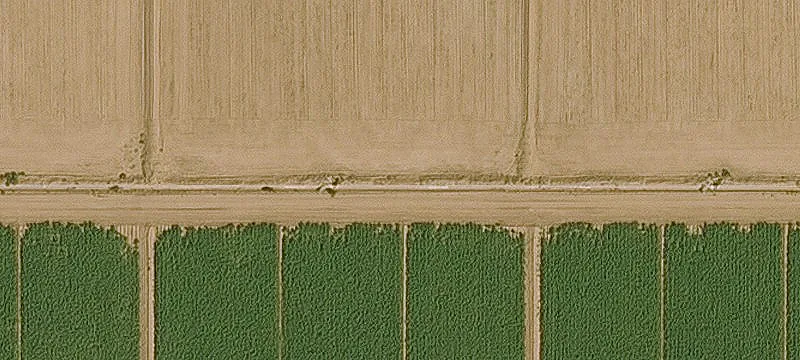 Farmland Near Proposed Freeway