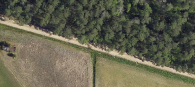 4.3 Acres in Galivants Ferry