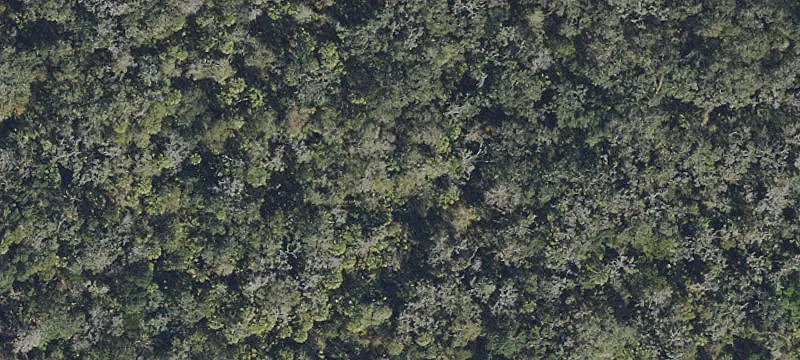 Commercial Land in Riverview, FL